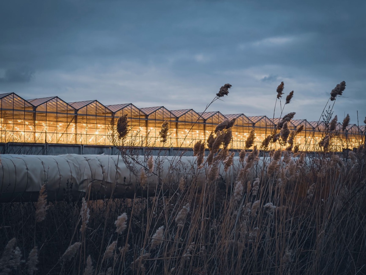 Salle d'enchères pour les fleurs à Aalsmeer
