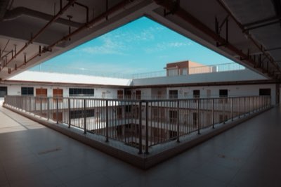 Bio-architettura viva: il ruolo di Aalsmeer nel commercio globale