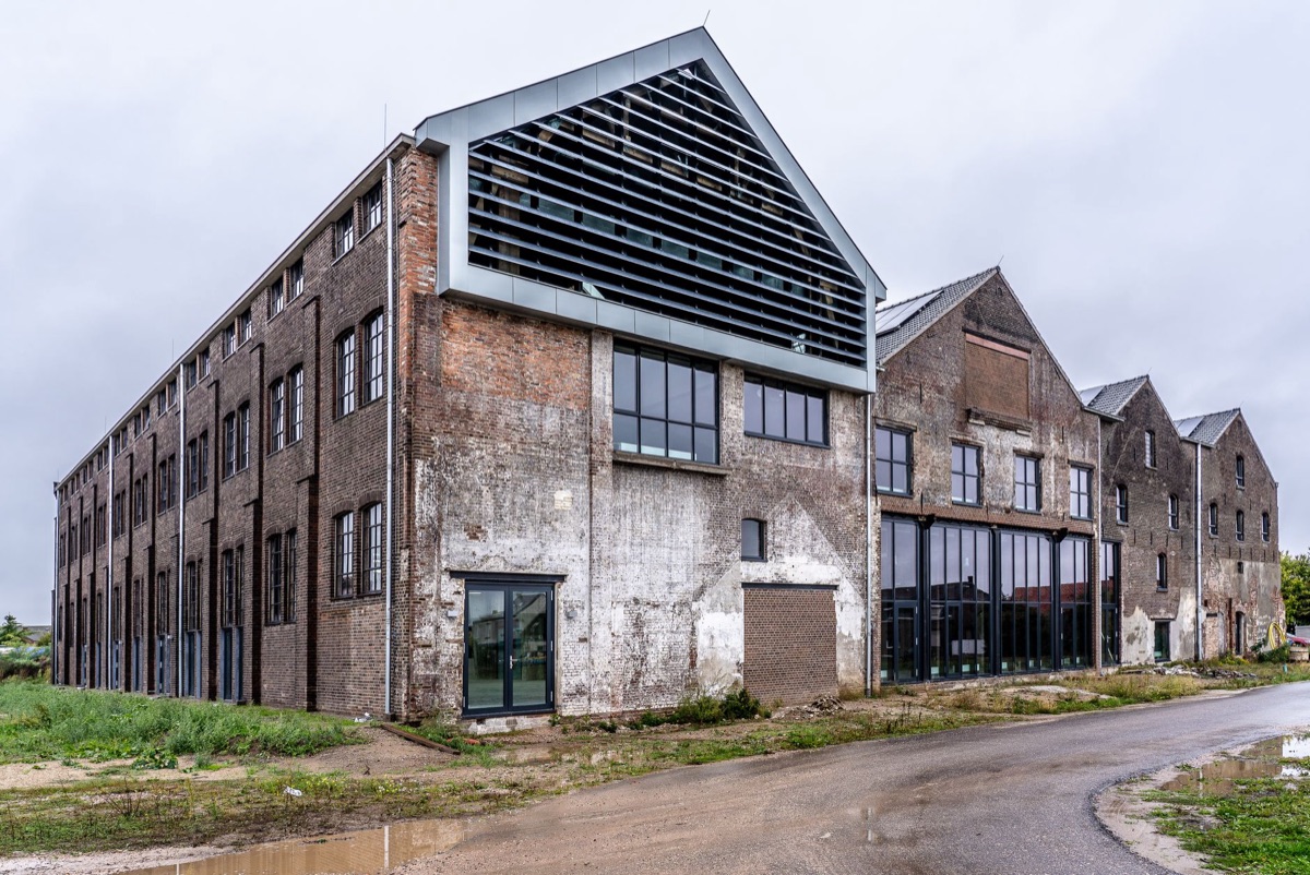 Netherlands flower industry warehouse