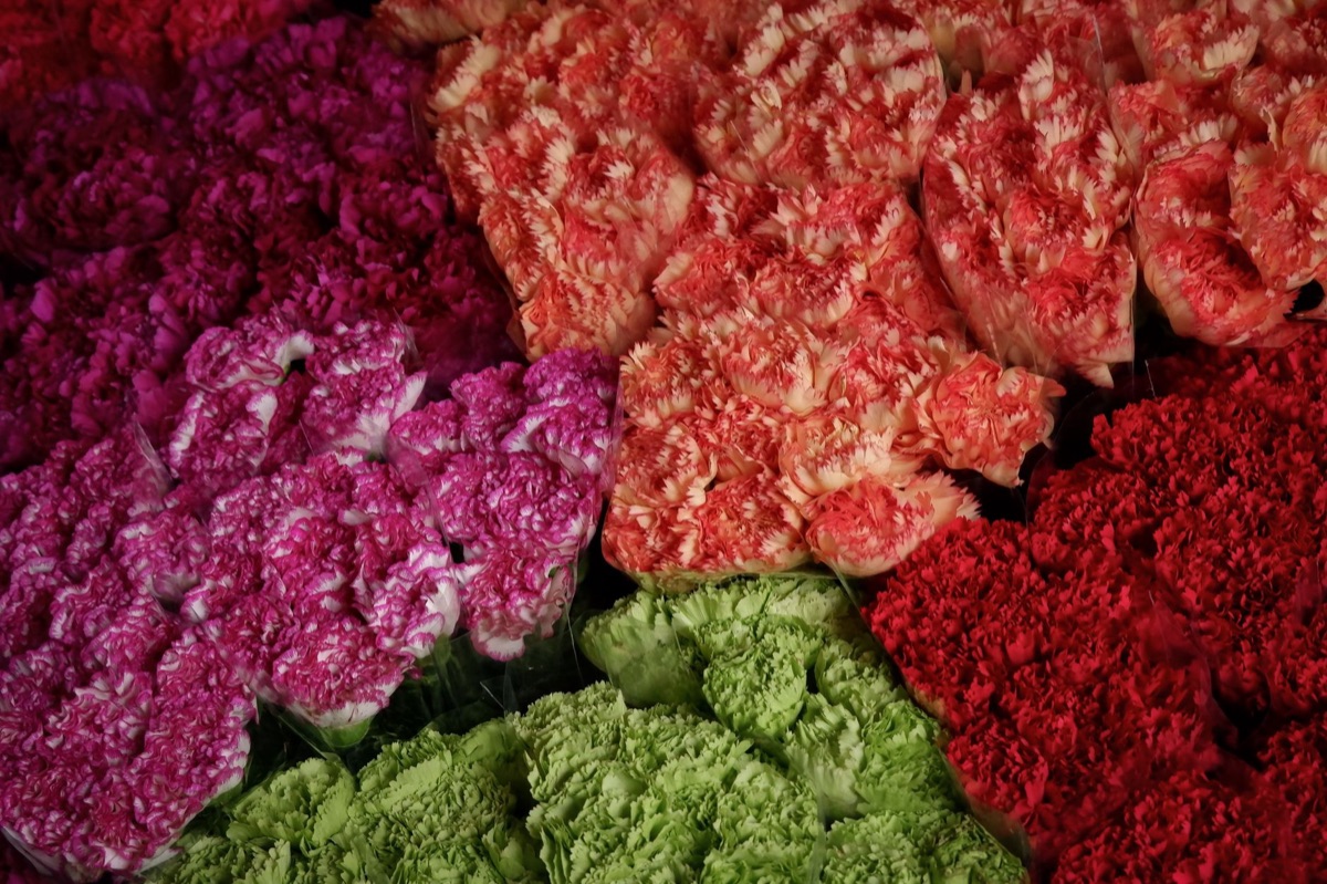 Aalsmeer flower auction hall