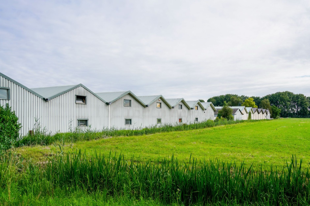 Centro de distribuição de flores em Aalsmeer