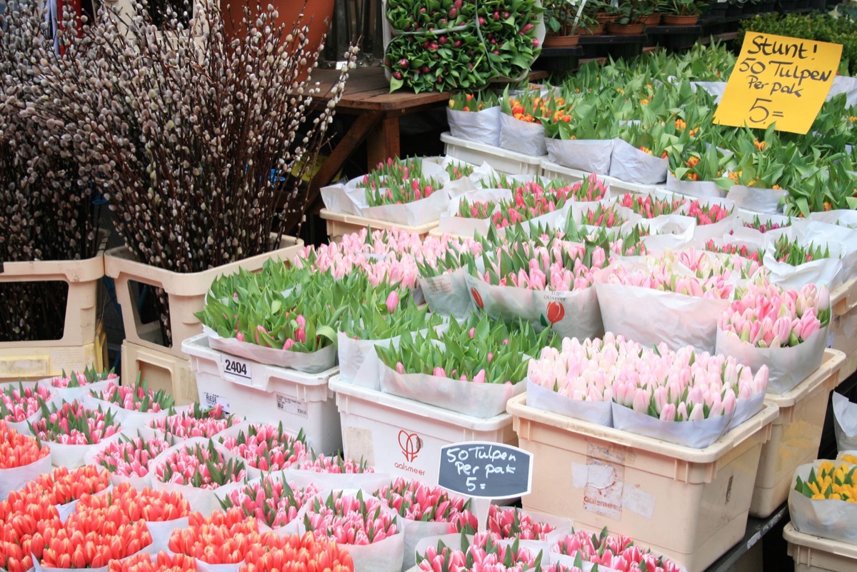 Flower auction hall Aalsmeer Netherlands