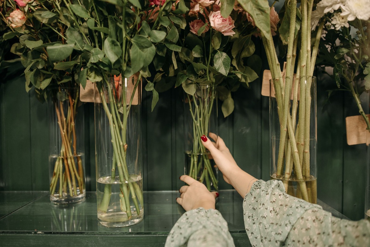 Arrangement of blooming flowers in glass case