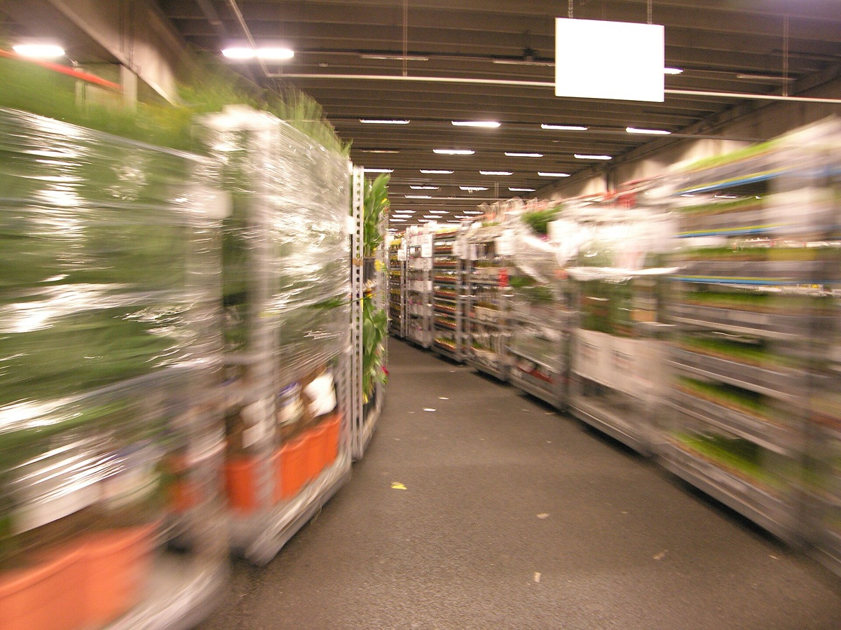 Marché floral à Aalsmeer