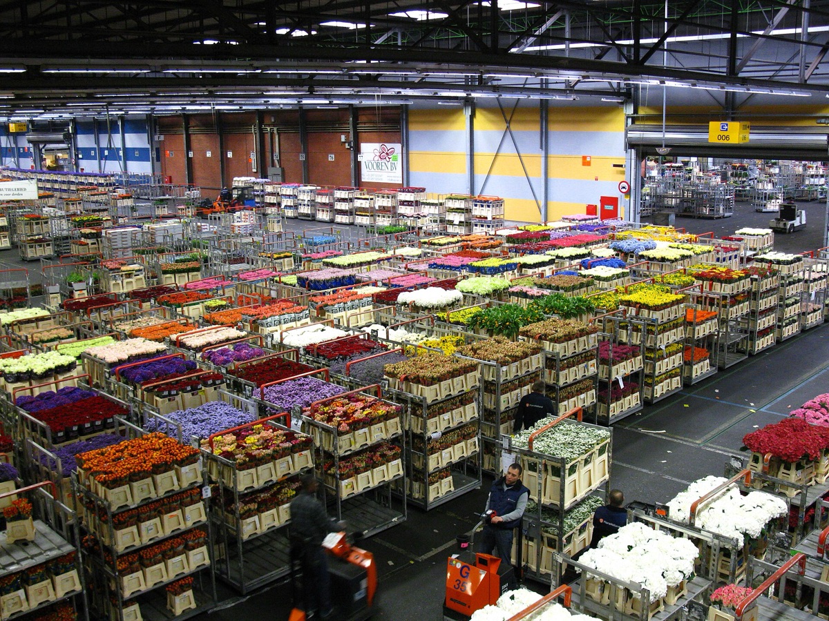 Mercato dei fiori in Aalsmeer