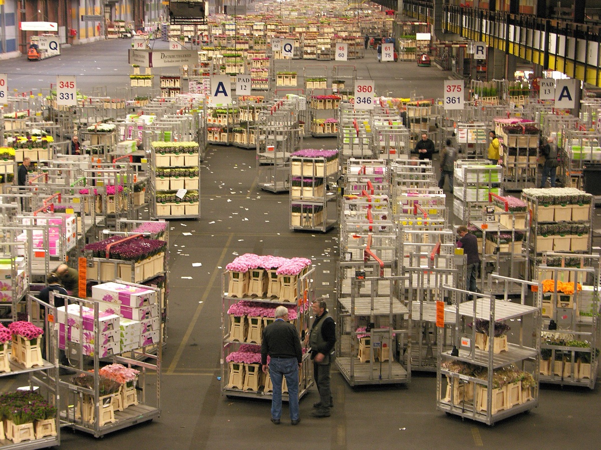 flores de Aalsmeer: mercado floral