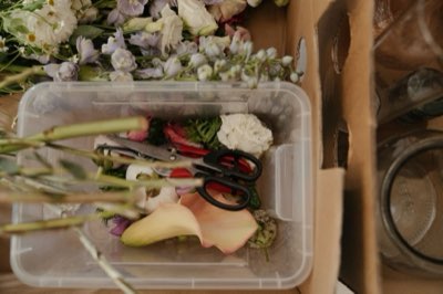 花卉貿易脈動：荷蘭拍賣場驅動全球花卉市場脈動完整指南