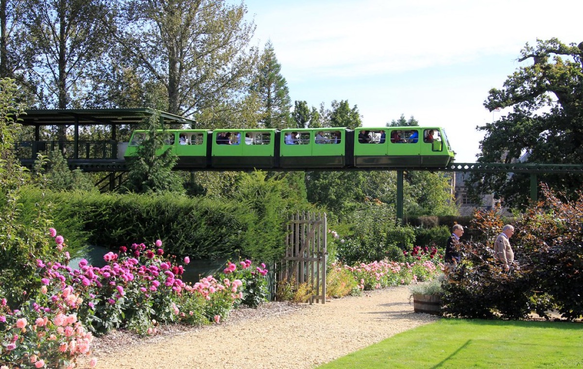 Historical roses in garden, showing a traditional setting with a focus on the flower's cultural significance.