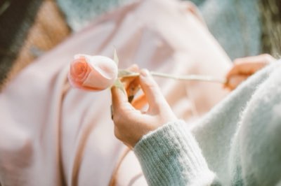 8-Step Tulip Care: From Bulb Choice to Full Bloom in Spring