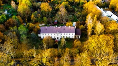 Crisantemi: Massimizza il tuo giardino autunnale con le cultivar