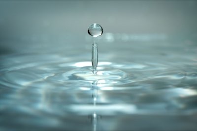 수국 꽃색 결정은 토양 산도, 안토시아닌 반응 이해하기