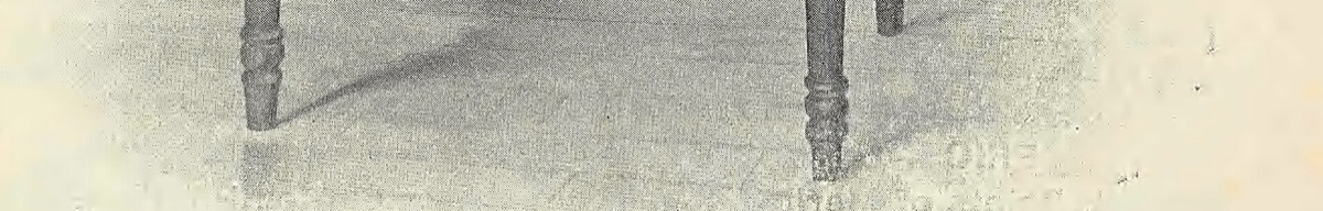 群生するヒマリ畑