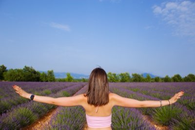 Lavender Care 101: Pruning, Pests, and Peak Bloom Times