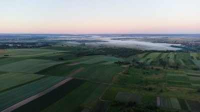 Monarque et fleurs : 10% de survie, leçon d'évolution végétale