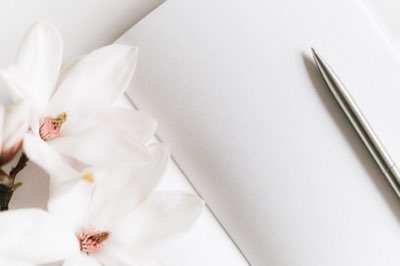 Magnolia's Journey: 1000 Years of Cultural Symbolism