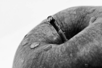 Frisia: De olfactorische reis van lentefrisheid en diepte