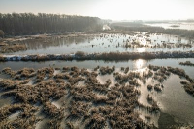 Floraison automnale : Stratégies de survie jusqu'en novembre