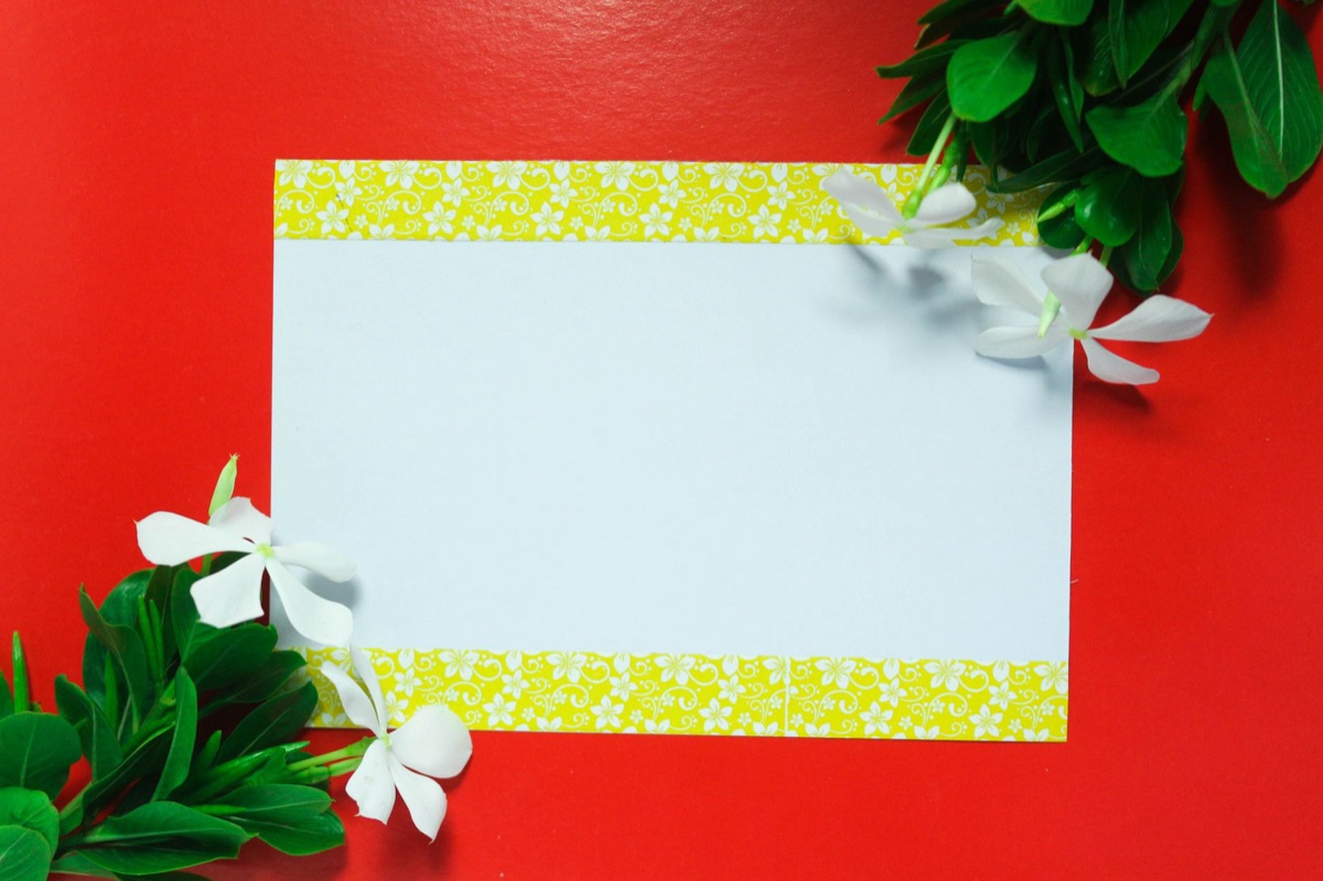 fiore di giao e foglio bianco
