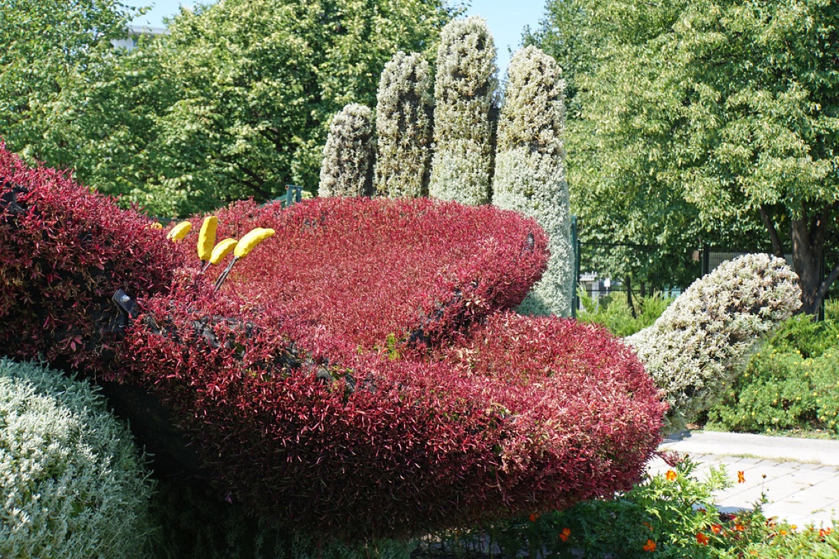 wilde bloemen vandaan