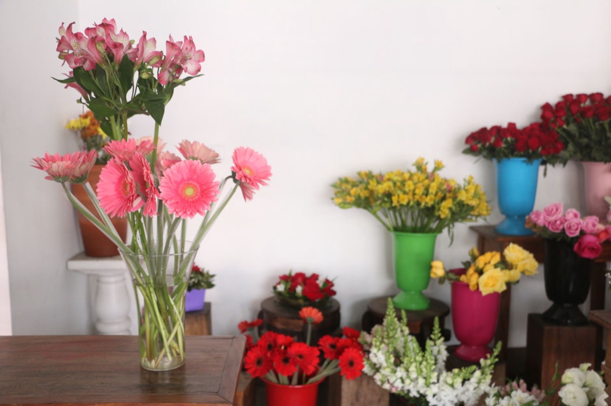Arrangement of fresh flowers in a vase