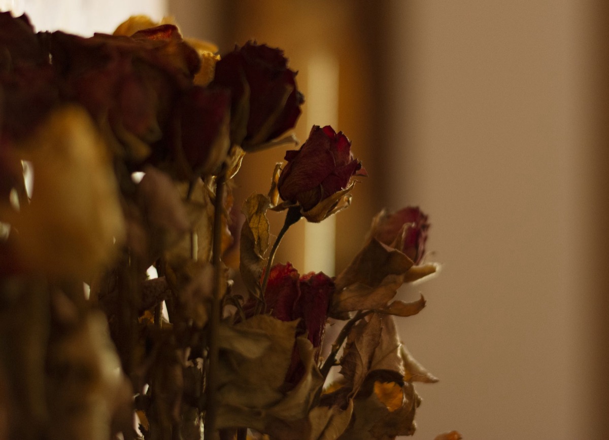 rosa seca en vase antiguo