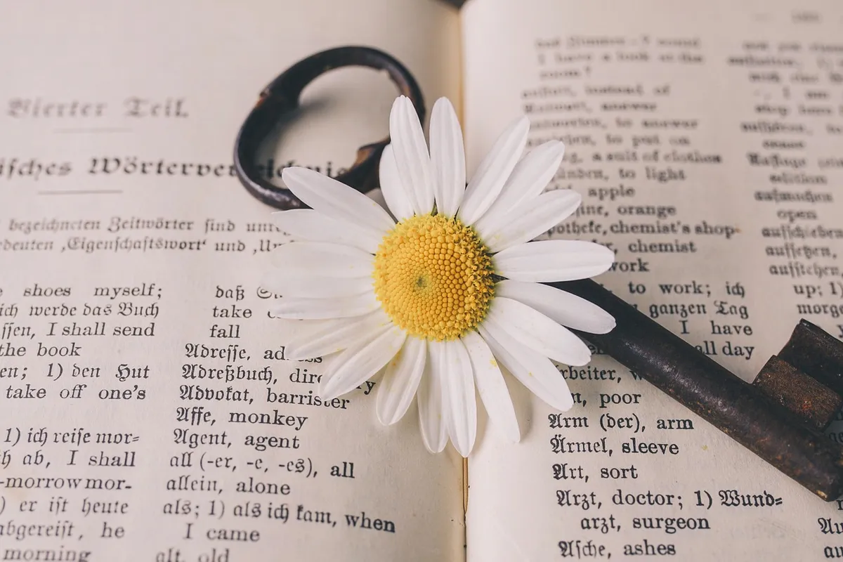 key, flower wallpaper, old, flower, nostalgic, vintage, marguerite, nature, beautiful flowers, blossom, bloom, rust, metal, antique, dictionary, german-english,