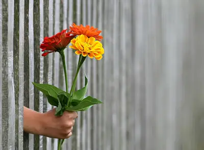 Flower gift guide: 0.1 mm First impression flower gift guide