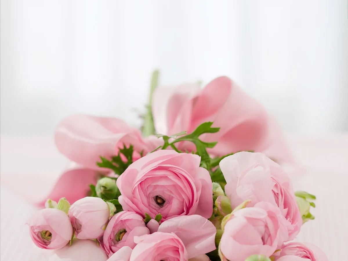 bouquet, nature, flowers, roses, flower arrangement, flower bouquet, flower wallpaper, pink flowers, buds, flower background, bloom, beautiful flowers, blossom,