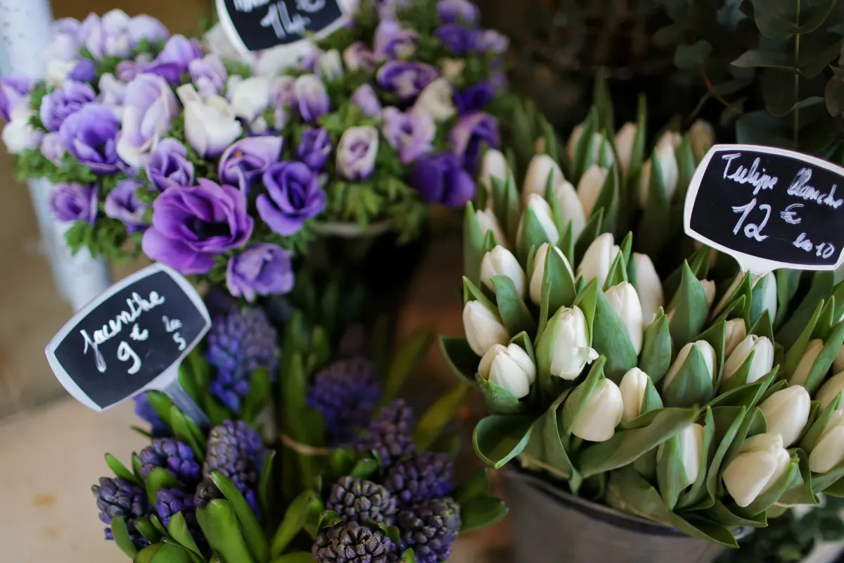 Tender purple hyacinths and white tulips with other flowers and price tags placed in buckets in French flower shop